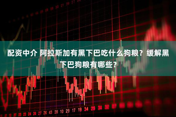 配资中介 阿拉斯加有黑下巴吃什么狗粮?缓解黑下巴狗粮有哪些?