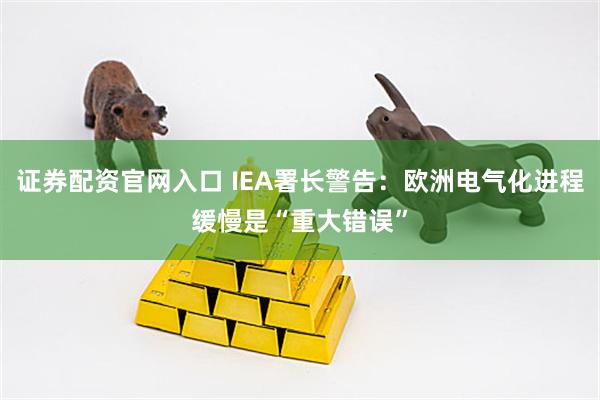 证券配资官网入口 IEA署长警告：欧洲电气化进程缓慢是“重大错误”